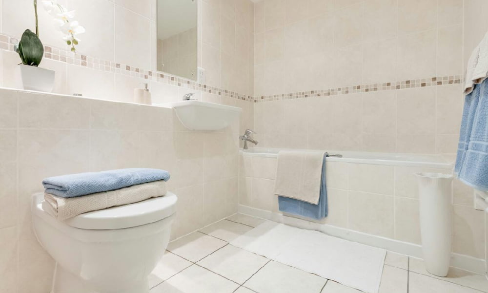 The Albany City Residential